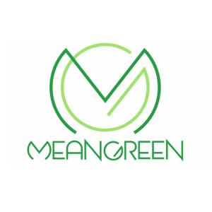 3. MeanGreen Media